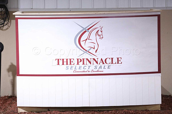 Pinnacle Select Sale by Riley Huff