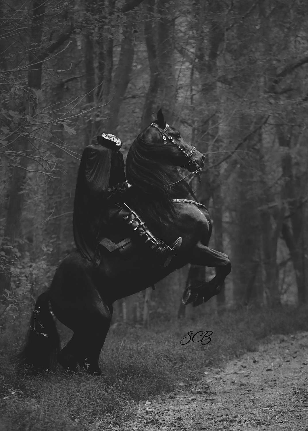 Headless Horseman 2 | 0SCB7925.jpg