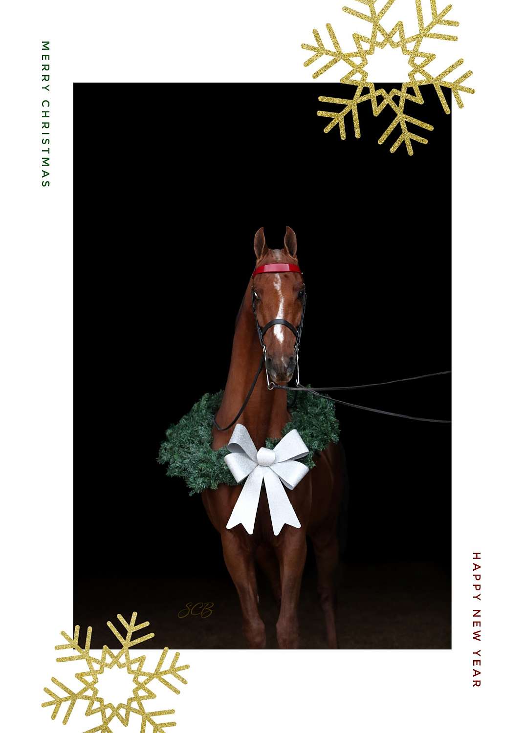Saddlebred Holiday Card 2 2023 (Folding - Set of 25 with envelopes) | Christmas_Card_Henry.jpg