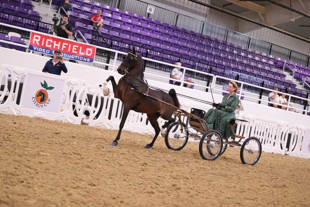 Citrus Cup 2024 Show Proofs 2024