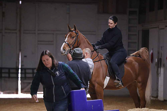 Isenhower Stables Jan 2026